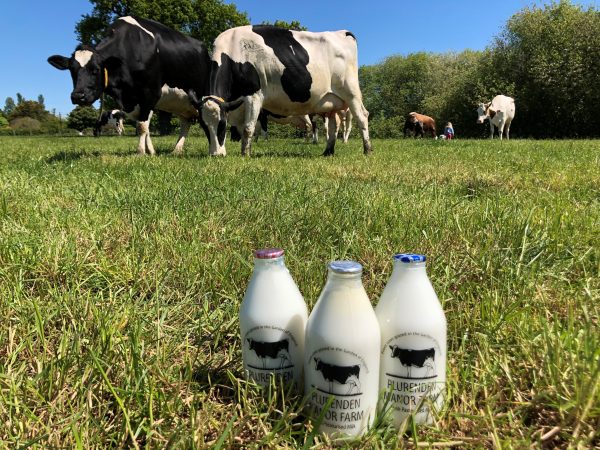 From Farm to Doorstep – Fresh Kentish Milk in Glass Bottles